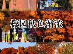 -华侨公园