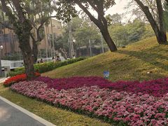 -四海公园(南山区)