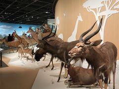 -陕西自然博物馆