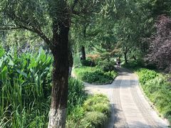 -紫霞湖公园
