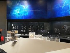 -北京周口店北京人遗址博物馆