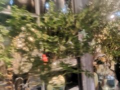 -朝来春花卉市场