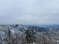 -四明山国家森林公园