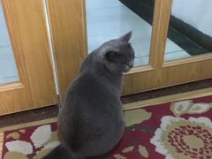 -壹人壹像工作室(购物公园店)