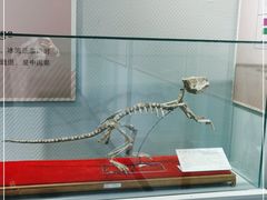 -中国第四纪冰川遗迹陈列馆