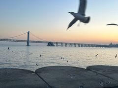 -星海广场