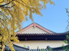 -郑和公园