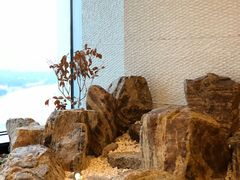 -柚·日式料理-富力万丽酒店