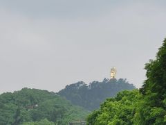 -南山植物园