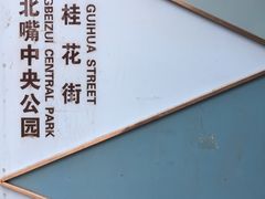 -重庆市江北嘴中央商务区中央公园