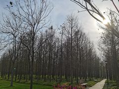 -上海山野camping·户外天幕烧烤·团建拓展营地