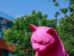 -西安电影制片厂