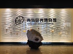 -青岛贝壳博物馆