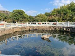 -白马涧龙池景区