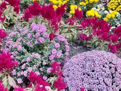 -共青国家森林公园-售票处