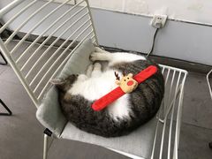 -UNIUNI(凯瑟琳广场店)