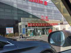 -首都医科大学附属北京地坛医院