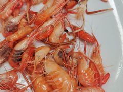 -八仔大富楼·河鲜(西江店)