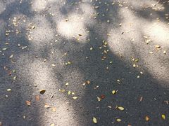 -广东外语外贸大学(白云山校区)