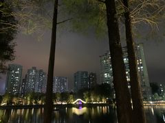 -四海公园(南山区)