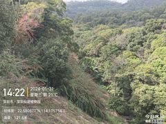 -深圳仙湖植物园