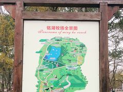 -大连铭湖国际观光牧场