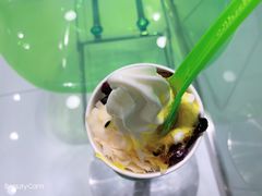 -Salud撒露欧洲冻酸奶(蓝色港湾店)