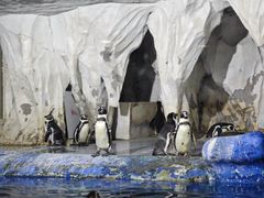 -太平洋海底世界