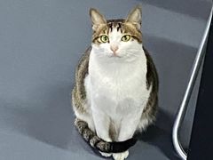 -蓝天射箭馆·专业射箭运动(诚丰广场店)