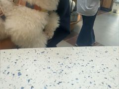 -联合动物医院(光谷诊疗中心)