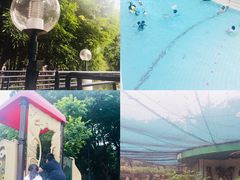 -九龙公园