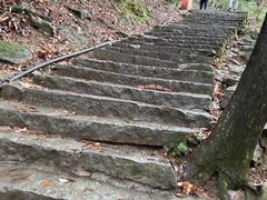 -灵顺寺