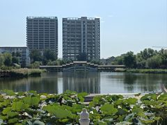 -西海子公园