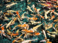 -郑州银基黄帝宫御温泉