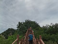 -大岭沟猕猴桃谷风景区