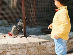 -山乡农家院(海淀区西北旺店)