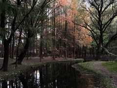 -共青国家森林公园-售票处