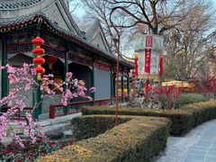 -白家大院·王府宫廷菜(苏州街店)