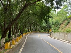 -大雁山风景区