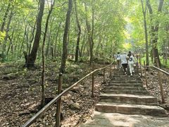 -帽儿山风景区