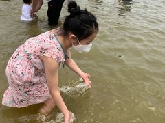 -碧海金沙
