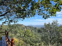 -大岭沟猕猴桃谷风景区