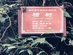-普陀山雷迪森庄园