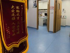 -博特宠物医院24h犬猫全科.骨科·异宠