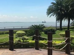 -大湾区中央湿地公园