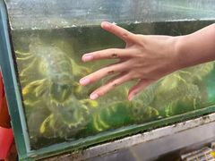 -班赞海鲜市场
