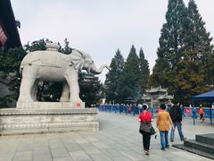 -九华山风景区月身宝殿