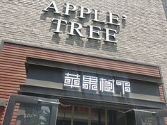 门面-苹果树下艺术餐厅(宋庄店)
