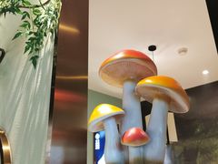 -菌彩云南野生菌火锅(万达广场店)