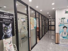 -瑞派雷欧宠物医院·24h夜诊·心脏骨科牙科·全科重症转诊中心(无影山店)